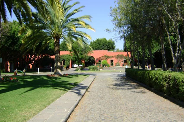 cardiologo-cerca-de-jardines-de-la-hacienda.jpg